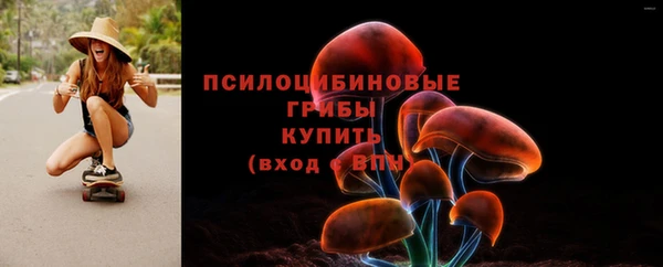 спайс Козельск
