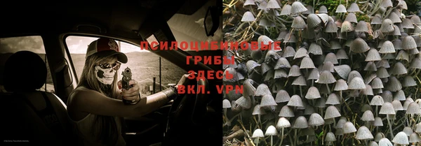 спайс Козельск