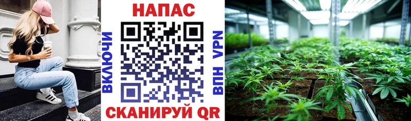 Купить закладки  Верхний Уфалей  Каннабис AK-47 